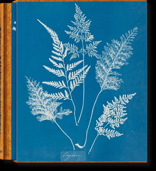 Anna Atkins